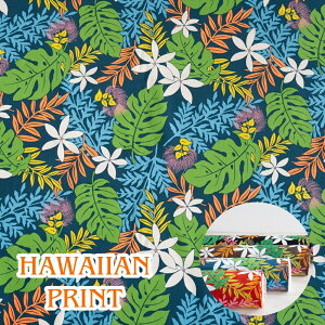 nCA n Rbg u[hy30cmȏ10cmPʁzi[2m܂ŉj100 110cm {