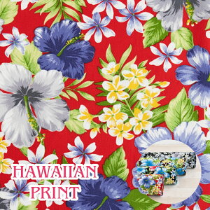 nCA n Rbg u[hy30cmȏ10cmPʁzi[2m܂ŉj100 110cm {