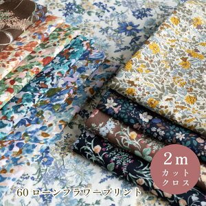 ԕ n 60[ t[vgw 108cm×2mJbgNXxy2܂Ń[։z100 108cm Rbg 