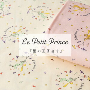 ̉q IbNX nwX^[[XJCxy30cmȏ10cmPʁz2m܂Ń[։ { Le Petit Prince T=eOWy LN^[ w ʉʊw bXobO 