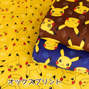 |P IbNX n wsJ`EtFCXxy30cmȏ10cmPʁz2m܂Ń[։ { LN^[ w ʉʊw bXobO  j̎q ̎q