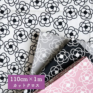 ԕ IbNX n y1mJbgNXzwJAx 2܂Ń[։ /110cm×1mJbgNX 100 Rbg /obOCeAt@ubNɂ߂ł