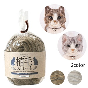 rуtFg@AуXg[g@LJ[@40g@Xg[g@ѕ݁@A@@с@LWg@Tog@@n}iJ Hamanaka