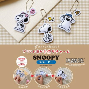 vgςݎ`[@Lbg@Xk[s[@x@It