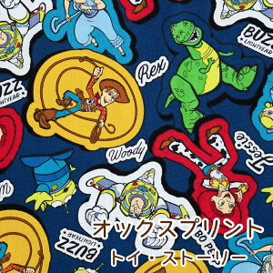 gCEXg[[ n IbNX zy30cmȏ10cmPʁz2m܂Ń[։ { 2025NBTS V fBYj[ LN^[ n w ʉʊw bXobO  j̎q ̎q