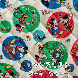 LeBO ~bL[~j[ n wy핿xy30cmȏ10cmPʁz40cm܂Ń[։ { 2025NBTS V fBYj[ LN^[ n w ʉʊw bXobO   