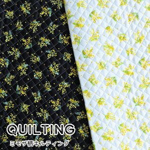 LeBO ~U n y30cmȏ10cmPʁzԕ 100 106cm z Lg {