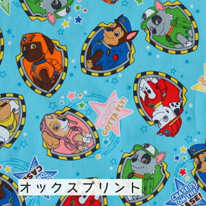 pEEpg[ IbNX n wxy30cmȏ10cmPʁz2m܂Ń[։ { 2025NV LN^[ w ʉʊw bXobO  j̎q ̎q