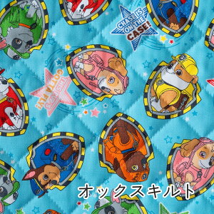 LeBO n pEEpg[ wx y30cmȏ10cmPʁz40cm܂Ń[։ { 2025N V LN^[ n w ʉʊw bXobO 