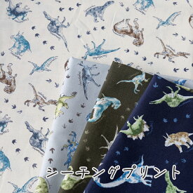 恐竜柄 生地 シーチング 『ウォーター ブラー ダイナソー』【30cm以上10cm単位】2mまでメール便可 布 綿100％ シーチング 約108cm幅 コットン 日本製 入園入学グッズ作りに
