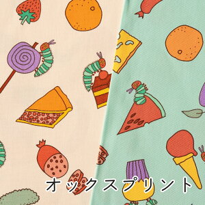 ͂؂ނ IbNX n wׂ̕xy30cmȏ10cmPʁz2m܂Ń[։ { LN^[ w ʉʊw bXobO  ̎q j̎q