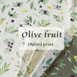 I[u n I[u̎wOlive fruitx {^jJ IbNX vgy30cmȏ10cmPʁz2m܂Ń[։ 100 110cm ppi`ȕ͋C̃I[u Lb`G݂