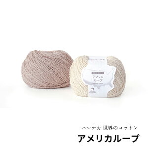 ySFZbgzю n}iJ wẼRbg AJ[vxHamanaka 70iC30 S3F