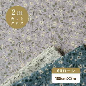 ԕ n 60[ t[vg 2025 B w 108cm×2mJbgNXx y2܂Ń[։z 100 Rbg 