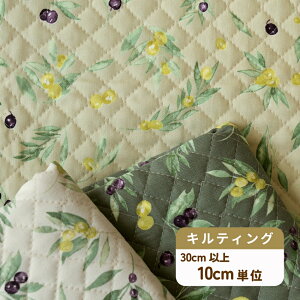 LeBO n I[u I[u̎wOlive fruitx IbNX Lg {^jJy30cmȏ10cmPʁzi50cm܂Ń[։j ۏ\IWi 100 108cm A pp