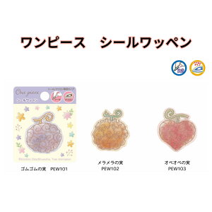 s[X V[by ONE PIECE _