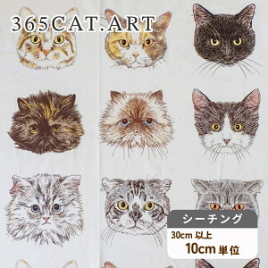 ˂ n 365 CAT ART wCAT FACEx V[`O zy30cmȏ10cmPʁzy2m܂Ń[։z100 110cm RbJ KOKKA