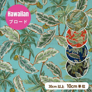 nCA n Rbg u[h w p[c[oii xy30cmȏ10cmPʁzi[ւ2m܂ŉj100 110cm {