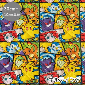 LeBO |P n LN^[ vg wR~bNx2025NHV 110cm 100 Lg{