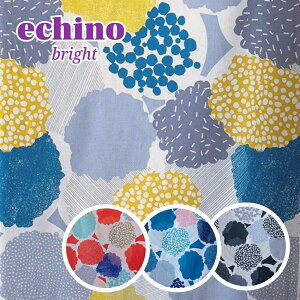 �G�`�m ���n echino2025�wbright�x �Ȗ��V�[�`���O �R�b�J KOKKA ���{���i2m�܂Ń��[���։j