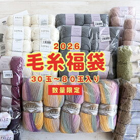 毛糸 福袋 【2026年】送料無料 数量限定 冬毛糸 ハマナカ テライ 銀河夢 レシピのおまけ付き☆12月10日20時販売開始※クーポン対象外