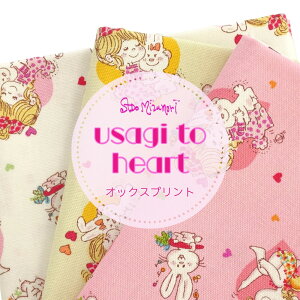 Ado Mizumori Xywƃn[gxy30cmȏ10cmPʁzn IbNXvg@100@{@z