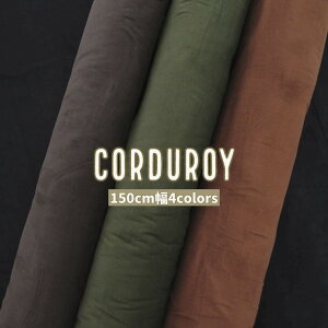 R[fC n Ly30cmȏ10cmPʁz|̊ۏ\IWi א R[e 100 L 150cm@z n