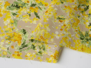 ԕ n 60[ t[vg 2025 F w 108cm×2mJbgNXx y2܂Ń[։z 100 Rbg  ~U KOKKA RbJ {