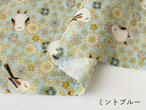 V}GiK n a V[`OwS㇗ Ƃx LgQCg z 100 킢