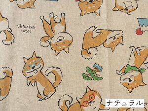  n Č ȖLoX wShiba Japanx z Rbgl a 킢  KOKKA