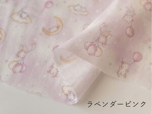 _uK[[ n Aj} w₷⁙˂Ƃx z lR ETM ӂӂ 炩 xr[