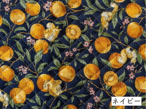 キルティング 生地 『あんずとりす』 ボタニカル柄 アニマル柄 シーチングキルト