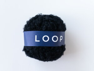 ю _} uLOOPv [v DARUMA c E[ ApJ 30g(43mj{