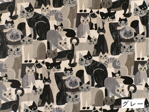 �L�� ���n �Ȗ� �L�����o�X �wART ANIMAL�x �z �R�b�g�����l�� ���킢�� ������� KOKKA
