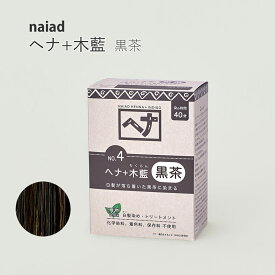 【100円クーポン有】naiad へナ+木藍　黒茶系100g 白髪染め 白髪染 白髪 しらがぞめ 染髪 毛染め ヘアカラー ヘナカラー ヘア カラー ヘナパウダー ナイアードヘナ トリートメントヘアカラー 家染め セルフ 天然素材 自然素材 母の日