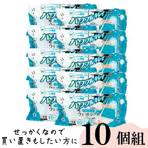 ptLC t[OEFbgV[g40 Cp[V[g EFbgV[g 30×20cm  | |pi  | ybg  | ĝ  lR e ȒP