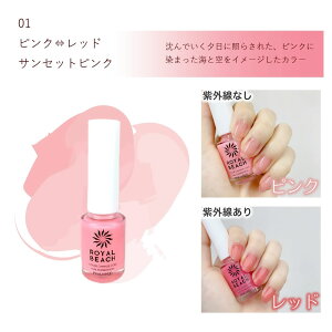 ROYALBEACHlCt@f[VJ[`FWR[g Cr[` lC zŐFς O }jLA e8ml ێz  PA |bV A[g c vdl lC