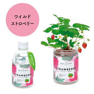 y100~N[|LzO[ybg ~jg}g ^X ~g oW Xgx[ ͔|Lbg ƒ؉ Lb`؉ ؉ ؉   V| xW v^[  qǂ 