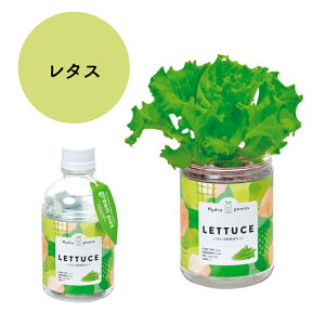 O[ybg ~jg}g ^X ~g oW Xgx[ ͔|Lbg ƒ؉ Lb`؉ ؉ ؉   V| xW v^[  qǂ ȒP CeAO