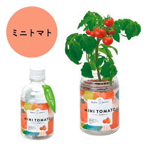 O[ybg ~jg}g ^X ~g oW Xgx[ ͔|Lbg ƒ؉ Lb`؉ ؉ ؉   V| xW v^[  qǂ ȒP CeAO