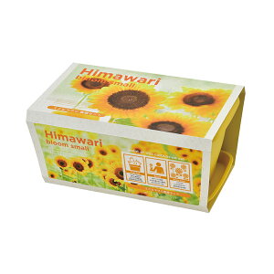 GWCv^[ G_} } ~jg}g ~jq} ͔|Lbg ƒ؉ Lb`؉ ؉ ؉   V| xW t[ v^[    qǂ 