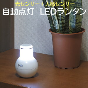 _LED^ ASL-3301S h ^Cg dr Ɩ ZT[Cg m Ki L  Cg R[hX lZT[ ZT[ _ 퓔 hЃObY