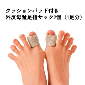 y100~N[|LzNbVpbhtO䑫wTbN2i1j  O ΍ ewPAی wNbV Ռz ɂ݊ɘa w } ^R ی pbh wTbN D 