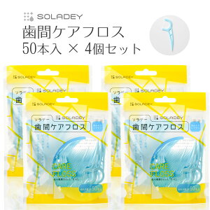 \f[ԃPAtX50{×4  tX tXsbN qʃ|G` C ԃPA ԃuV ݂͂  n~KL v ϋv ܂Ƃߔ e I[PA