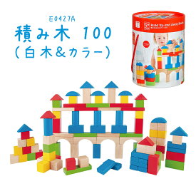 【100円クーポン有】E0427A 積み木（白木＆カラー）100 HAPE hape ハペ つみき 積木 木のおもちゃ 木製おもちゃ 知育玩具 玩具 おもちゃ 赤ちゃん 子供 子ども こども プレゼント ギフト