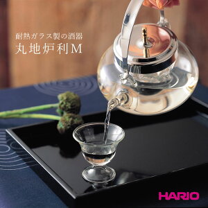 ےnFM IDX-2MSV ϔMKX {  Ђ    nF  X MOK ^bNVo[ { HARIO nI ͂肨 2