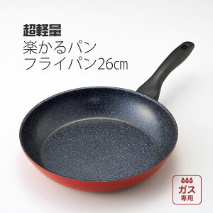 y100~N[|Lzyʁ@yp@tCp26cm tCp [^tCp U₷ v pX^ g ɂ y ȒP wOK tbfh 4wR[g