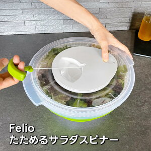 Felio ߂T_Xsi[ O[ F22001 T_ T_Xsi[ ȒP؂ S VLVL ȃXy[X ƎN Z [ ؂ H i ߂ ] H