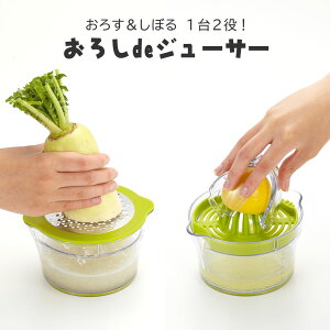 낵deW[T[@A-81  낷 ڂ H 卪낵  肨낵  t[cW[X  ʕ 12 ̗؂ ʃSŃXxh~ Jbv ڐt