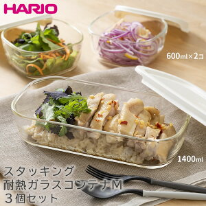 HARIO X^bLOϔMKXReiM3ZbgiKSTL-M-3006-OWj  nI WEI[u ۑe ȃXy[X { AEghA W[ Lv  َq 